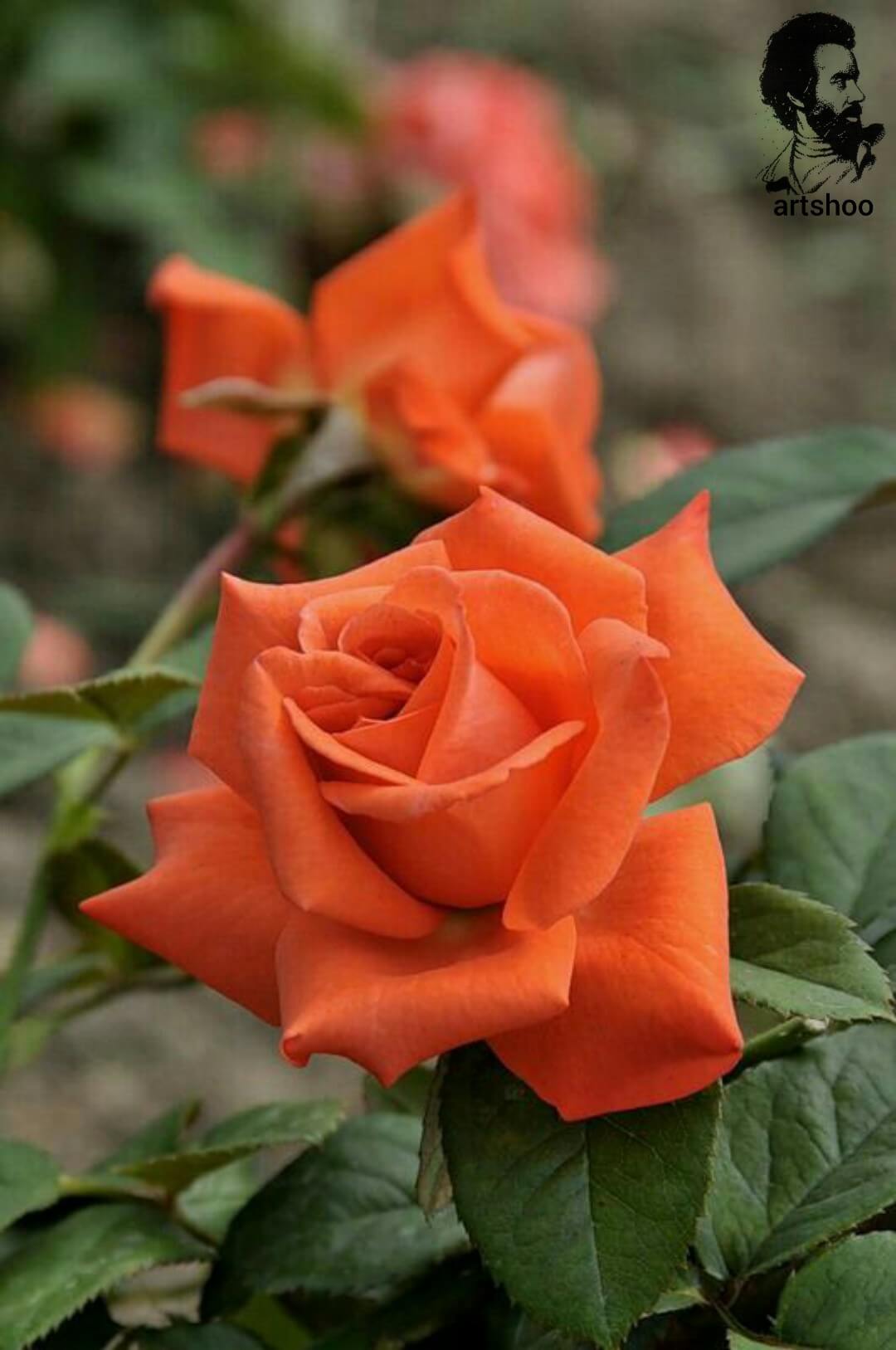 آموزش نقاشی رنگ روغن